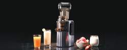 Slow Berry Juicer additional view