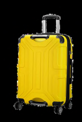 Maleta Finix Trolley – 24 inch additional view